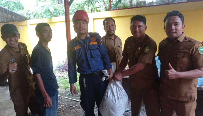Respon Aduan 112, DPKP Pekanbaru Evakuasi Ular Piton di Kantor Dinas Kebudayaan Riau
