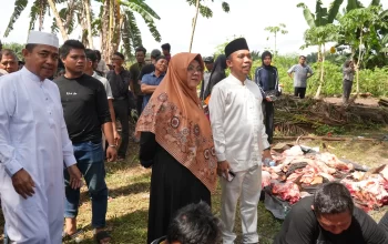Disambut Antusias Masyarakat, Bupati Siak Serahkan Sapi Kurban Presiden di Maredan Barat