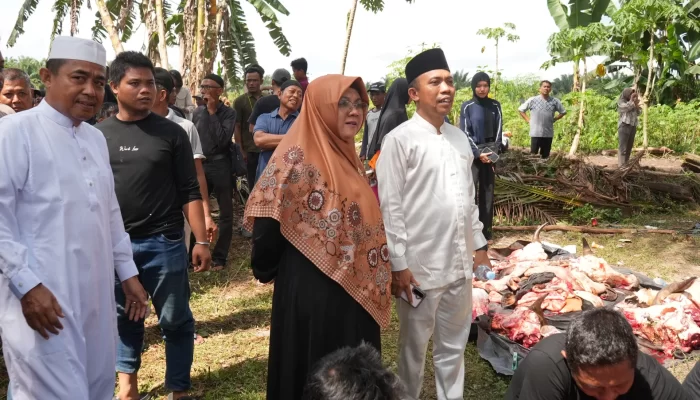 Disambut Antusias Masyarakat, Bupati Siak Serahkan Sapi Kurban Presiden di Maredan Barat