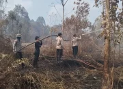Bergerak Cepat, Manggala Agni dan Tim Gabungan Lakukan Pendinginan Karhutla di Kandis