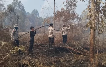 Bergerak Cepat, Manggala Agni dan Tim Gabungan Lakukan Pendinginan Karhutla di Kandis
