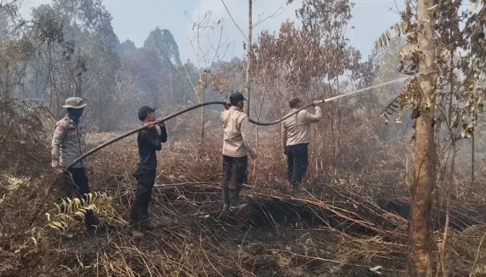 Bergerak Cepat, Manggala Agni dan Tim Gabungan Lakukan Pendinginan Karhutla di Kandis