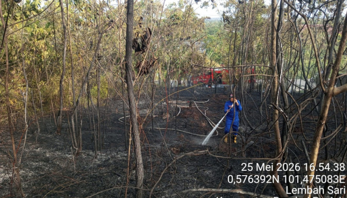 Dilaporkan Ada 61 Kejadian Kebakaran Lahan di Pekanbaru, Wako Agung Tetapkan Status Siaga Darurat Karhutla hingga November Mendatang