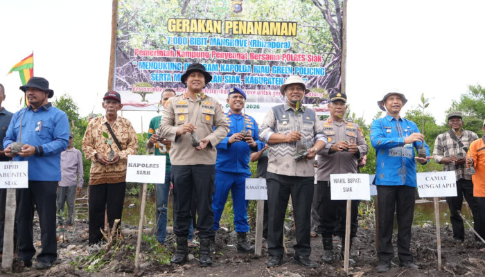 Perkuat Sinergi Cegah Abarasi di Pesisir Siak, Polres-Pemerintah Kampung Gelar Aksi Tanam 7000 Bibit Mangrove