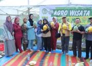 Bupati Siak Panen Melon di Buantan Besar, Bukti nyata Dana Desa Tingkatkan PAD