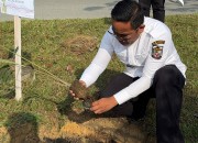Dukung Pelestarian Lingkungan dan Penghijauan, Bupati Zukri Pimpin Penanaman Bibit Pohon Aren di Pangkalan Kerinci