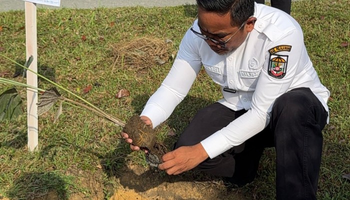 Dukung Pelestarian Lingkungan dan Penghijauan, Bupati Zukri Pimpin Penanaman Bibit Pohon Aren di Pangkalan Kerinci