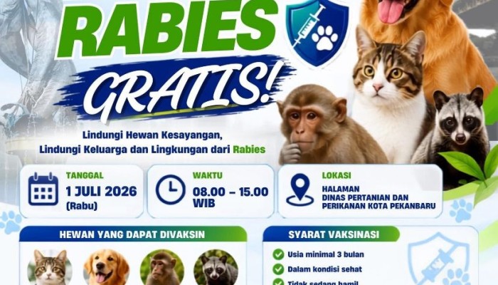 Pemko Pekanbaru Gelar Vaksinasi Rabies Gratis, ini Jadwal dan Lokasinya!
