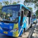 Promo Hari Jadi Kota Pekanbaru, Warga Bisa Dapatkan Tarif Khusus Bus TMP Hanya Rp 242