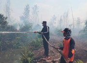 Terbitkan Maklumat Larangan Bakar Lahan, Bupati Bistamam: Langkah Tegas Antisipasi Super El Nino