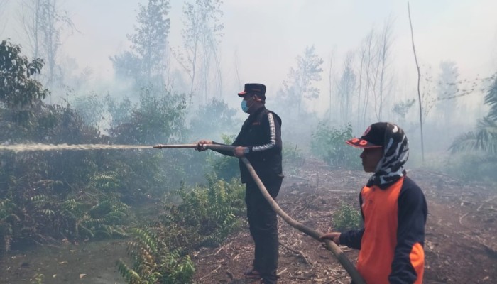 Terbitkan Maklumat Larangan Bakar Lahan, Bupati Bistamam: Langkah Tegas Antisipasi Super El Nino