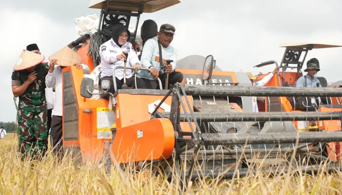 Panen Perdana Padi Zakat Produktif di Siak, Mustahik Didorong Menjadi Petani Mandiri