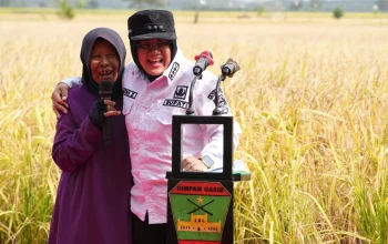 Bupati Siak Laksanakan Panen Padi Perdana di Bungaraya, Bukti Nyata Program Zakat Produktif BAZNAS