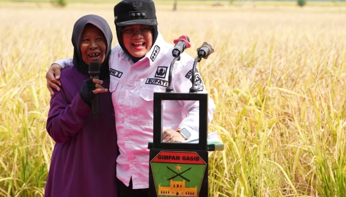 Bupati Siak Laksanakan Panen Padi Perdana di Bungaraya, Bukti Nyata Program Zakat Produktif BAZNAS