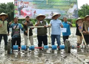 Perkuat Langkah Menuju Swasembada Pangan Nasional, Pemkab Siak Laksankan Gerakan Tanam Serempak OPLAH 2025