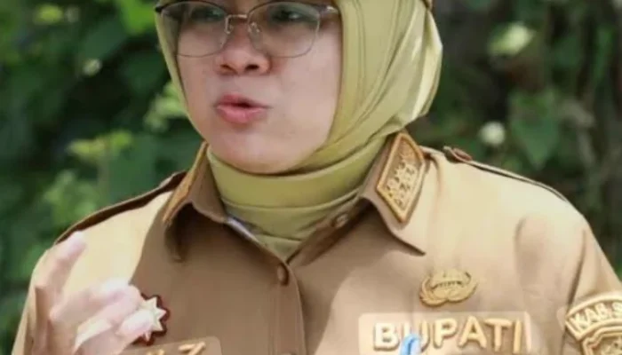 Torehkan Prestasi Nasional, Pemkab Siak Masuk Daftar Daerah Terbaik untuk Investasi