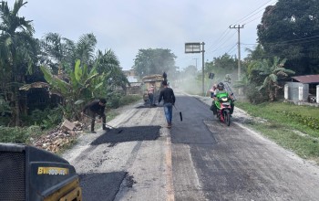 Prioritaskan Perbaikan Infrastruktur, Pemkab Siak Tangani 152,3 Km Jalan Rusak Lewat Program CSR