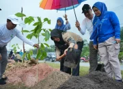 Tanam 5.050 Bibit Pohon di Jalur Mempura-Dayun, Bupati Afni Ajak Warga Rawat Pohon