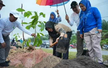 Tanam 5.050 Bibit Pohon di Jalur Mempura-Dayun, Bupati Afni Ajak Warga Rawat Pohon