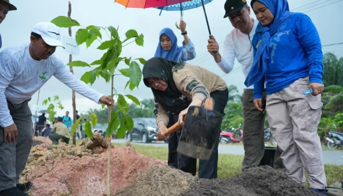 Tanam 5.050 Bibit Pohon di Jalur Mempura-Dayun, Bupati Afni Ajak Warga Rawat Pohon