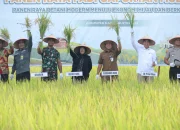 Smart Farming Binaan BI di Bunga Raya Tunjukkan Hasil, Produktivitas Padi Meningkat