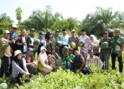 Berhasil Panen 30 Ton Semangka, Bumkam Amanah Kota Ringin Jadi Percontohan Ketahanan Pangan di Kabupaten Siak