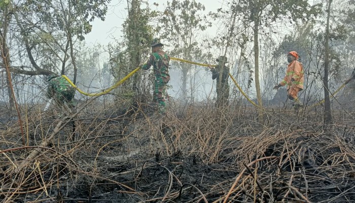 Sinergi TNI-Polri dan Tim Gabungan Bergerak Cepat Atasi Kebakaran Hutan dan Lahan di Rimba Panjang