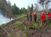 Kodam XIX Tuanku Tambusai Bergerak Lawan Karhutla di Talang Muandau, Medan Gambut Jadi Tantangan