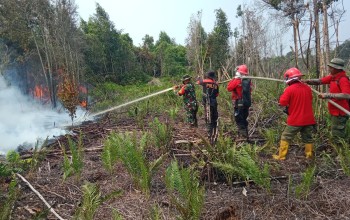 Kodam XIX Tuanku Tambusai Bergerak Lawan Karhutla di Talang Muandau, Medan Gambut Jadi Tantangan