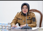 Siak Nihil Titik Api, Bupati Afni Perintahkan Satgas Karhutla Siaga 24 Jam