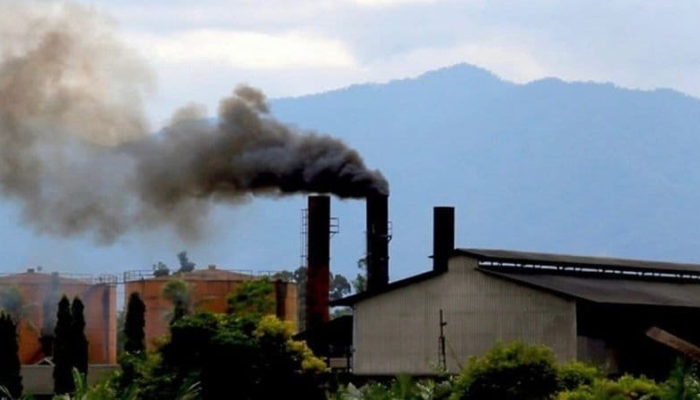 Kabut Asap Karhutla Mengancam, Bupati Siak Minta PKS Setop Bakar Janjang Kosong