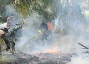 Bupati Afni Turun Padamkan Karhutla di Cagar Biosfer Tasik Betung, Bara Gambut Masih Mengancam