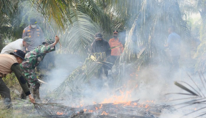 Bupati Afni Turun Padamkan Karhutla di Cagar Biosfer Tasik Betung, Bara Gambut Masih Mengancam