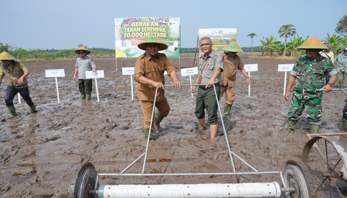 Siak Terima Program Penanaman 70.000 Hektare, Perkuat Peran Bungaraya sebagai Lumbung Pangan