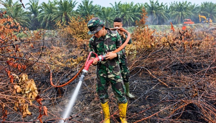 Kodam XIX/Tuanku Tambusai Terus Tangani Karhutla Inhu, Pendinginan Difokuskan di Titik Asap