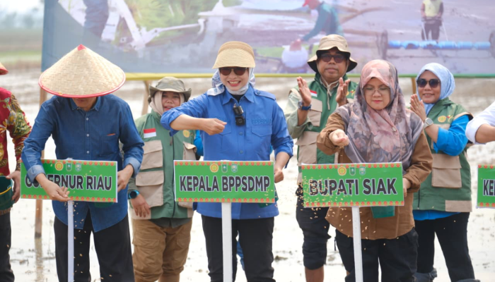 Kementan Tanam Serempak 50.000 Hektare, Siak Soroti Kendala Air Sawah