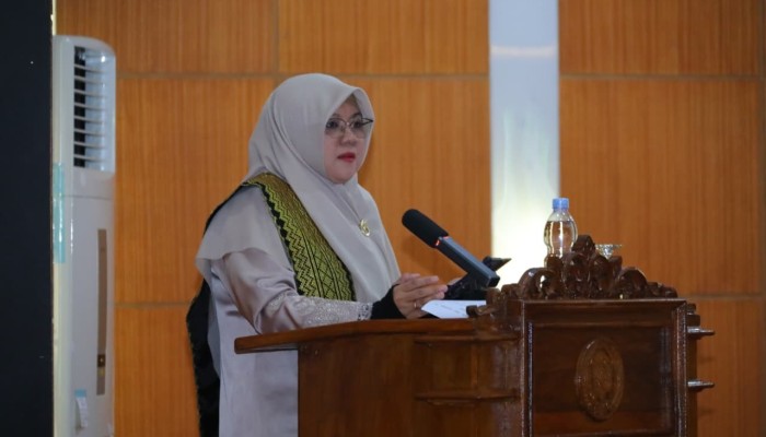 DBH Migas Siak Dipangkas, Bupati Afni Minta Kemenkeu Jelaskan Formula 2027