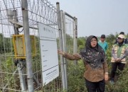Bupati Siak Jawab Tiga Pertanyaan Presiden Soal Solusi Karhutla