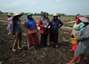 Petani Teluk Lanus Keluhkan Irigasi, Ratusan Hektare Lahan Tak Bisa Digarap