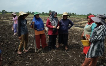 Petani Teluk Lanus Keluhkan Irigasi, Ratusan Hektare Lahan Tak Bisa Digarap