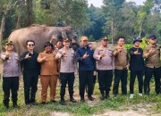 Kunjungan Perdana Kapolres Pelalawan AKBP Ahmad Nur Ari Kunjungi Bayi Gajah di TNTN Ukui