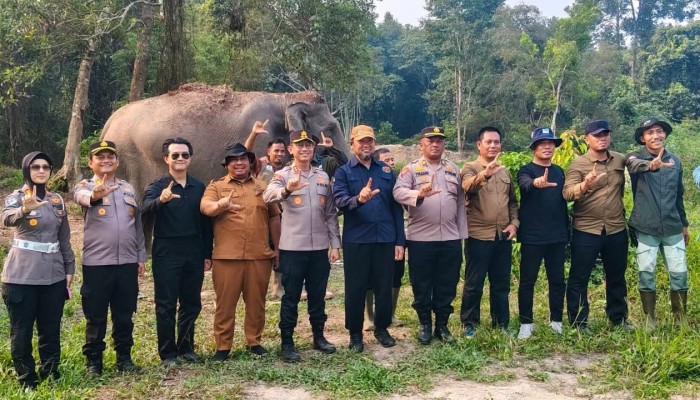 Kunjungan Perdana Kapolres Pelalawan AKBP Ahmad Nur Ari Kunjungi Bayi Gajah di TNTN Ukui