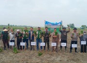 Tanam Serentak Sekolah Lapang PM AAS Digelar di Desa Kuala Panduk