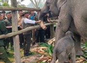 Menteri Kehutanan Dan Kapolda Riau Kunjungi TNTN Ukui, Beri Nama GANESHA Untuk Anak Gajah Mama Lisa